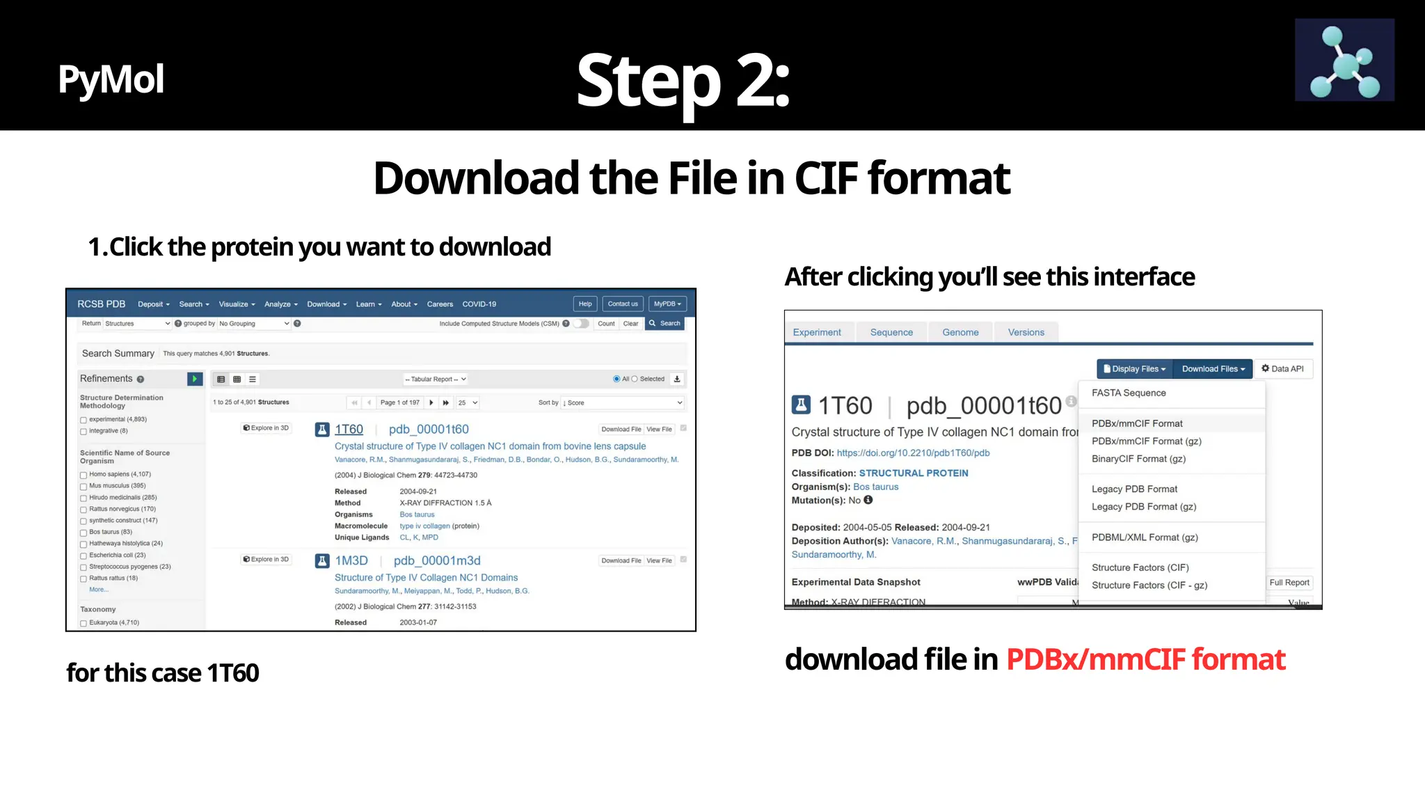 DownloadtheFileinCIF format
PyMol Step2:
1.Clicktheproteinyouwanttodownload
downloadfilein PDBx/mmCIFformat
forthiscase1T60
Afterclickingyou’llseethisinterface
 
