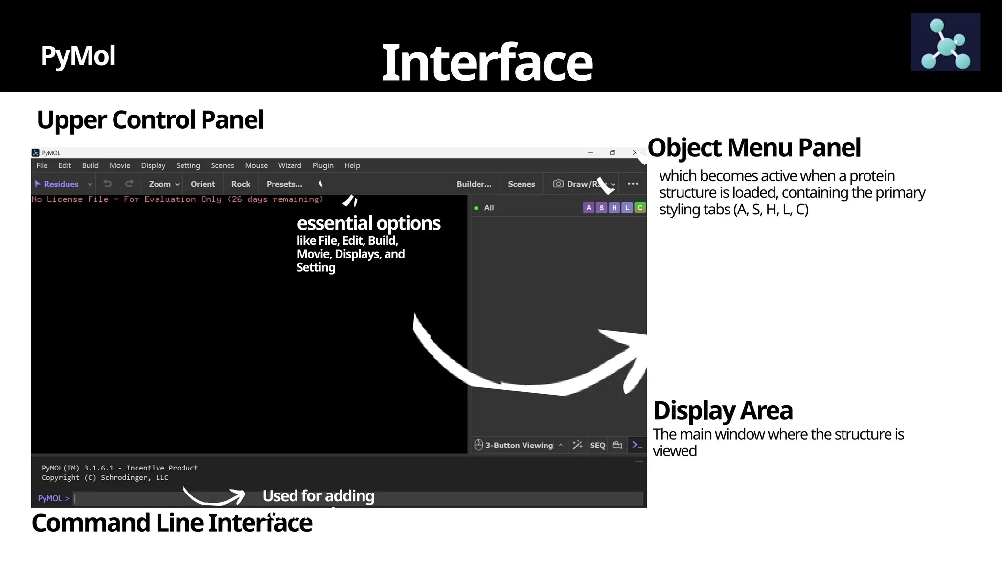 Upper ControlPanel
PyMol
Interface
essentialoptions
like File, Edit, Build,
Movie, Displays, and
Setting
Command Line Interface
Used for adding
commands
Object MenuPanel
whichbecomesactive whenaprotein
structure isloaded,containingthe primary
stylingtabs(A,S,H,L,C)
DisplayArea
The mainwindowwherethe structureis
viewed
 