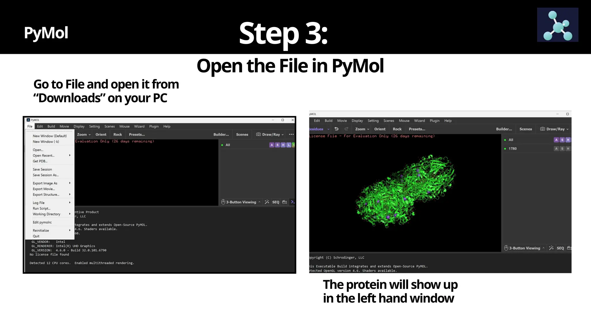 OpentheFileinPyMol
PyMol Step3:
GotoFileandopen itfrom
“Downloads” onyourPC
Theproteinwill showup
inthelefthand window
 