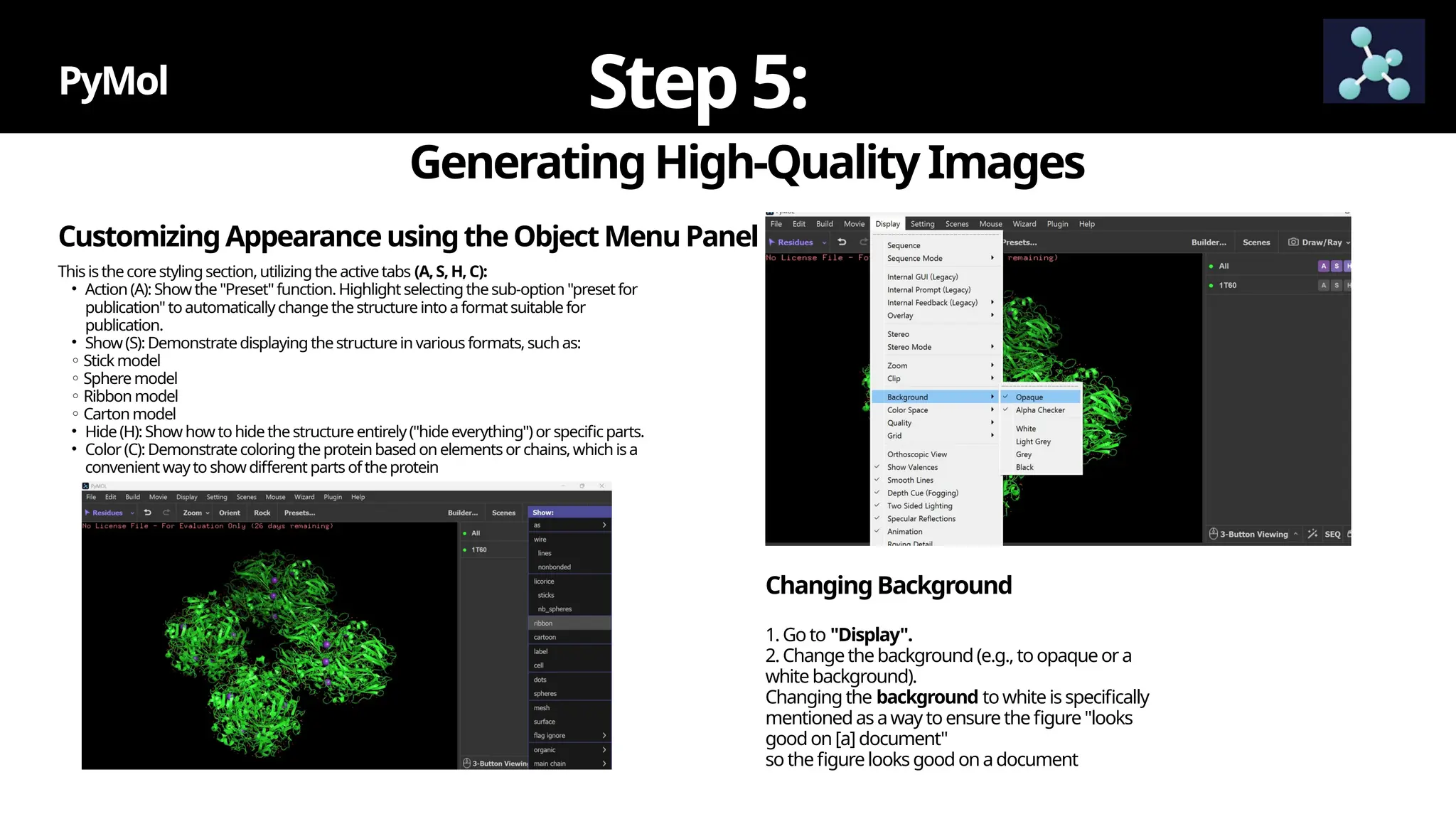 GeneratingHigh-QualityImages
PyMol Step5:
CustomizingAppearanceusingtheObject MenuPanel
Changing Background
1.Go to "Display".
2.Changethebackground(e.g.,toopaqueora
whitebackground).
Changing the background towhiteisspecifically
mentionedas away toensurethefigure"looks
goodon[a] document"
so thefigurelooks good onadocument
Thisisthecorestylingsection,utilizingthe activetabs (A, S, H, C):
• Action (A): Show the"Preset"function.Highlight selectingthesub-option "preset for
publication"toautomaticallychange thestructureintoaformat suitablefor
publication.
• Show(S):Demonstratedisplayingthestructurein variousformats,suchas:
◦ Stickmodel
◦ Spheremodel
◦ Ribbon model
◦ Cartonmodel
• Hide(H):Show howto hidethestructureentirely("hideeverything")or specificparts.
• Color (C): Demonstratecoloringtheproteinbasedon elementsor chains,which isa
convenient wayto show different partsoftheprotein
 