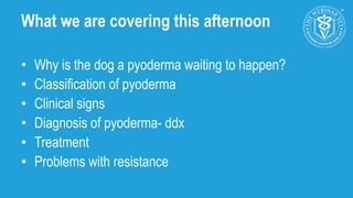 Pyoderma at Vets South, Exeter | PPTX