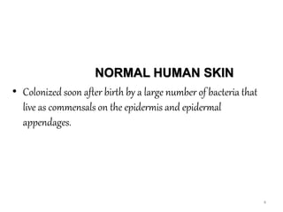 Pyoderma.pptx