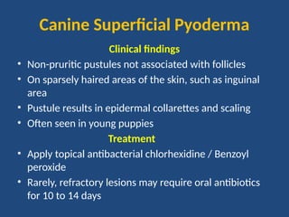 Bacterial skin diseases in dogs & cats.. | PPTX