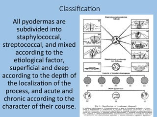 pyoderma and scabies.ppttvtfvftvftvtfbgbyhhyhyhyh | PPT