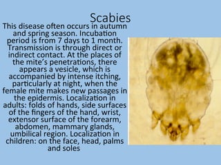 pyoderma and scabies.ppttvtfvftvftvtfbgbyhhyhyhyh | PPT