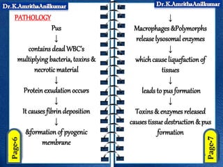 PATHOLOGY
Pus
↓
contains dead WBC’s
multiplying bacteria, toxins &
necrotic material
↓
Proteinexudationoccurs
↓
It causes fibrindeposition
↓
&formation of pyogenic
membrane
↓
Macrophages &Polymorphs
release lysosomal enzymes
↓
whichcauseliquefaction of
tissues
↓
leads to pus formation
↓
Toxins & enzymes released
causes tissue destruction & pus
formation
 