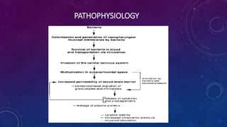 PATHOPHYSIOLOGY
 