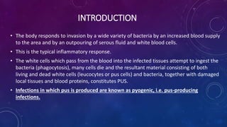 INTRODUCTION
• The body responds to invasion by a wide variety of bacteria by an increased blood supply
to the area and by an outpouring of serous fluid and white blood cells.
• This is the typical inflammatory response.
• The white cells which pass from the blood into the infected tissues attempt to ingest the
bacteria (phagocytosis), many cells die and the resultant material consisting of both
living and dead white cells (leucocytes or pus cells) and bacteria, together with damaged
local tissues and blood proteins, constitutes PUS.
• Infections in which pus is produced are known as pyogenic, i.e. pus-producing
infections.
 