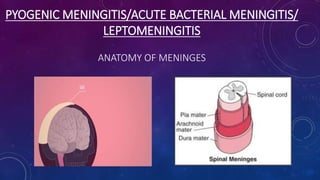 PYOGENIC MENINGITIS/ACUTE BACTERIAL MENINGITIS/
LEPTOMENINGITIS
ANATOMY OF MENINGES
 