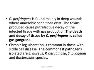 • C. perfringens is found mainly in deep wounds
where anaerobic conditions exist. The toxins
produced cause putrefactive decay of the
infected tissue with gas production.The death
and decay of tissue by C. perfringens is called
gas gangrene.
• Chronic leg ulceration is common in those with
sickle cell disease. The commonest pathogens
isolated are S. aureus, P. aeruginosa, S. pyogenes,
and Bacteroides species.
Ajay Subedi,BMLT
 