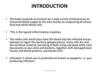 INTRODUCTION
• The body responds to invasion by a wide variety of bacteria by an
increased blood supply to the area and by an outpouring of serous
fluid and white blood cells.
• This is the typical inflammatory response.
• The white cells which pass from the blood into the infected tissues
attempt to ingest the bacteria (phagocytosis), many cells die and
the resultant material consisting of both living and dead white cells
(leucocytes or pus cells) and bacteria, together with damaged local
tissues and blood proteins, constitutes PUS.
• Infections in which pus is produced are known as pyogenic, i.e. pus-
producing infections.
Ajay Subedi,BMLT
 