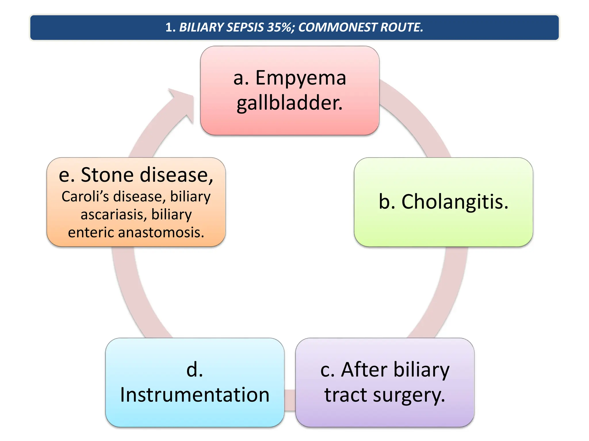 1. BILIARY SEPSIS 35%; COMMONEST ROUTE.
a. Empyema
gallbladder.
b. Cholangitis.
c. After biliary
tract surgery.
d.
Instrumentation
e. Stone disease,
Caroli’s disease, biliary
ascariasis, biliary
enteric anastomosis.
 
