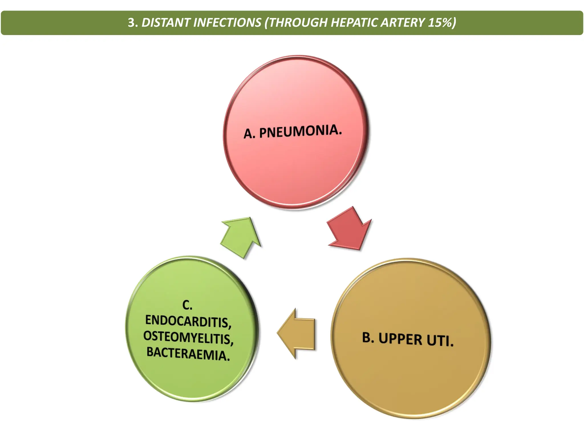 3. DISTANT INFECTIONS (THROUGH HEPATIC ARTERY 15%)
 