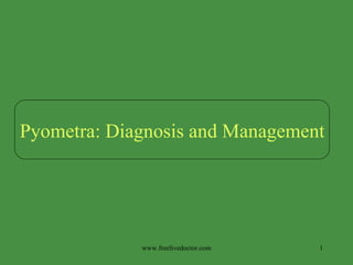 www.freelivedoctor.com Pyometra: Diagnosis and Management 