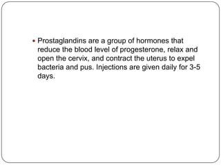  Prostaglandins are a group of hormones that

reduce the blood level of progesterone, relax and
open the cervix, and contract the uterus to expel
bacteria and pus. Injections are given daily for 3-5
days.

 