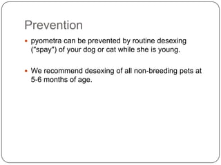 Prevention
 pyometra can be prevented by routine desexing

("spay") of your dog or cat while she is young.
 We recommend desexing of all non-breeding pets at

5-6 months of age.

 