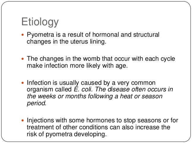 Pyometra