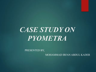 CASE STUDY ON
PYOMETRA
PRESENTED BY,
MOHAMMAD IRFAN ABDUL KADER
 