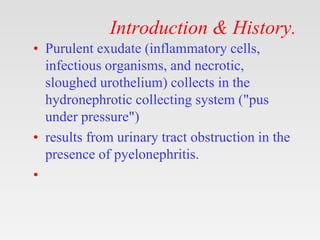 Introduction & History.
• Purulent exudate (inflammatory cells,
infectious organisms, and necrotic,
sloughed urothelium) collects in the
hydronephrotic collecting system ("pus
under pressure")
• results from urinary tract obstruction in the
presence of pyelonephritis.
•
 