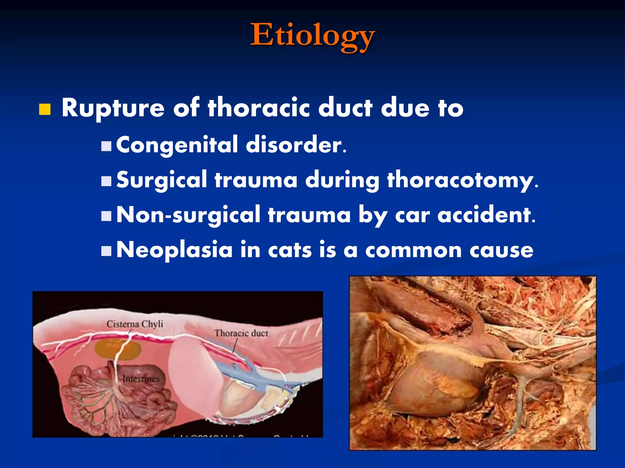 Etiology
 Rupture of thoracic duct due to
 Congenital disorder.
 Surgical trauma during thoracotomy.
 Non-surgical trauma by car accident.
 Neoplasia in cats is a common cause
 