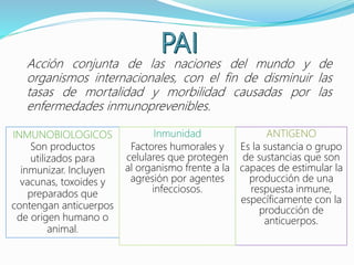 Acción conjunta de las naciones del mundo y de
organismos internacionales, con el fin de disminuir las
tasas de mortalidad y morbilidad causadas por las
enfermedades inmunoprevenibles.
INMUNOBIOLOGICOS
Son productos
utilizados para
inmunizar. Incluyen
vacunas, toxoides y
preparados que
contengan anticuerpos
de origen humano o
animal.
ANTIGENO
Es la sustancia o grupo
de sustancias que son
capaces de estimular la
producción de una
respuesta inmune,
específicamente con la
producción de
anticuerpos.
Inmunidad
Factores humorales y
celulares que protegen
al organismo frente a la
agresión por agentes
infecciosos.
 