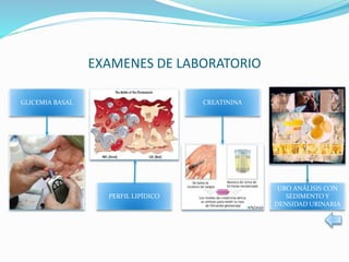 EXAMENES DE LABORATORIO
GLICEMIA BASAL
PERFIL LIPÍDICO
CREATININA
URO ANÁLISIS CON
SEDIMENTO Y
DENSIDAD URINARIA
 