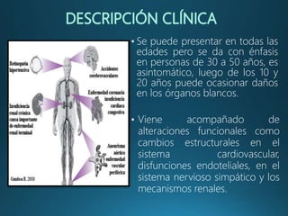• Se puede presentar en todas las
edades pero se da con énfasis
en personas de 30 a 50 años, es
asintomático, luego de los 10 y
20 años puede ocasionar daños
en los órganos blancos.
• Viene acompañado de
alteraciones funcionales como
cambios estructurales en el
sistema cardiovascular,
disfunciones endoteliales, en el
sistema nervioso simpático y los
mecanismos renales.
 