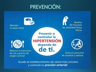 Tener hábitos de vida saludable y, sobre todo, evitar el
sobrepeso y la obesidad son los principales factores para
prevenir la aparición de la hipertensión.
Los especialistas señalan que llevar una dieta sana y
practicar ejercicio puede ayudar a que la población
general esté exenta de sufrir esta patología.
En los casos en los que en la familia haya antecedentes
de hipertensión y por tanto haya una predisposición a ser
hipertenso a lo largo del tiempo, este factor genético
supone una llamada de atención adicional a que el
paciente cuide esos hábitos de vida y vigile sus cifras de
tensión arterial.
 
