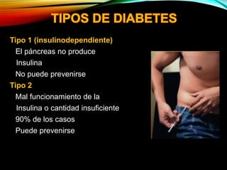 Tipo 1 (insulinodependiente)
• El páncreas no produce
Insulina
• No puede prevenirse
Tipo 2
• Mal funcionamiento de la
Insulina o cantidad insuficiente
• 90% de los casos
• Puede prevenirse
 