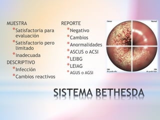 MUESTRA
*Satisfactoria para
evaluación
*Satisfactorio pero
limitado
*inadecuada
DESCRIPTIVO
*Infección
*Cambios reactivos
REPORTE
*Negativo
*Cambios
*Anormalidades
*ASCUS o ACSI
*LEIBG
*LEIAG
*AGUS o AGSI
 