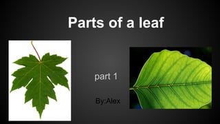 Parts of a leaf

part 1
By:Alex

 