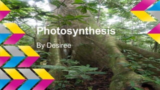 Photosynthesis
By Desiree

 