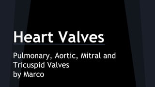 Heart Valves
Pulmonary, Aortic, Mitral and
Tricuspid Valves
by Marco

 