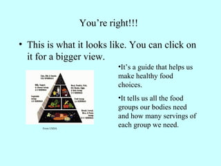 You’re right!!! This is what it looks like. You can click on it for a bigger view. From USDA It’s a guide that helps us make healthy food choices. It tells us all the food groups our bodies need and how many servings of each group we need. 