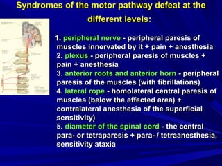 Syndromes of the motor pathway defeat at theSyndromes of the motor pathway defeat at the
different levels:different levels:
1.1. peripheral nerveperipheral nerve - peripheral paresis of- peripheral paresis of
muscles innervated by it + pain + anesthesiamuscles innervated by it + pain + anesthesia
2.2. plexusplexus - peripheral paresis of muscles +- peripheral paresis of muscles +
pain + anesthesiapain + anesthesia
3.3. anterior roots and anterior hornanterior roots and anterior horn - peripheral- peripheral
paresis of the muscles (with fibrillations)paresis of the muscles (with fibrillations)
4.4. lateral ropelateral rope - homolateral central paresis of- homolateral central paresis of
muscles (below the affected area) +muscles (below the affected area) +
contralateral anesthesia of the superficialcontralateral anesthesia of the superficial
sensitivity)sensitivity)
5.5. diameter of the spinal corddiameter of the spinal cord - the central- the central
para- or tetraparesis + para- / tetraanesthesia,para- or tetraparesis + para- / tetraanesthesia,
sensitivity ataxiasensitivity ataxia
 