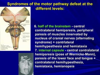 Syndromes of the motor pathway defeat at theSyndromes of the motor pathway defeat at the
different levels:different levels:
6.6. half of the brainstemhalf of the brainstem - central- central
contralateral hemiparesis, peripheralcontralateral hemiparesis, peripheral
paresis of muscles innervated byparesis of muscles innervated by
nucleus of cranial nerves (alternatingnucleus of cranial nerves (alternating
syndrome) + contrlateralsyndrome) + contrlateral
hemihypesthesia and hemiataxiahemihypesthesia and hemiataxia
7.7. internal capsuleinternal capsule - central contralateral- central contralateral
hemiparesis (pose of Wernicke-Mann),hemiparesis (pose of Wernicke-Mann),
paresis of the lower face and tongue +paresis of the lower face and tongue +
contralateral hemihypesthesia,contralateral hemihypesthesia,
hemiataxia, hemianopsiahemiataxia, hemianopsia
 
