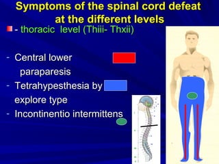 Symptoms of the spinal cord defeatSymptoms of the spinal cord defeat
at the different levelsat the different levels
-- thoracicthoracic levellevel ((ThiThiіі-іі- Thxii)Thxii)
- Central lowerCentral lower
paraparesisparaparesis
- Tetrahypesthesia byTetrahypesthesia by
explore typeexplore type
- ІІncontinentio intermittensncontinentio intermittens
 