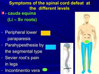 Symptoms of the spinal cord defeat atSymptoms of the spinal cord defeat at
the different levelsthe different levels
-- cauda equinacauda equina
((LLіі –– Sv roots)Sv roots)
- PeripheralPeripheral lowerlower
paraparesisparaparesis
- ParahypesthesiaParahypesthesia byby
the segmental typethe segmental type
- SevierSevier root’s painroot’s pain
in legsin legs
- ІІncontinentio verancontinentio vera
 