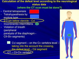 CalculationCalculation of the defeat levelof the defeat level according to theaccording to the neurologicalneurological
status datastatus data
((where the CT scan must be donewhere the CT scan must be done?)?)
-- Central tetraparesisCentral tetraparesis
- Tetrahypesthesia byTetrahypesthesia by
exploreexplore typetype
- 2-32-3 smsm belowbelow clavicleclavicle -- CviCvi
- ІІncontinentio intermittensncontinentio intermittens
- Violation of breath- Violation of breath
(peripheral(peripheral
paralysis of the diaphragm -paralysis of the diaphragm -
CII-Siv segments)CII-Siv segments)
ССvi segmentvi segment –– on theon the ССvv vertebra levelvertebra level ––
taking into the account the crossing,taking into the account the crossing,
the defeat levelthe defeat level – С– Сiiiiii segmentsegment
CCТ – СТ – Сiiii-С-Сiviv vertebrivertebri
 