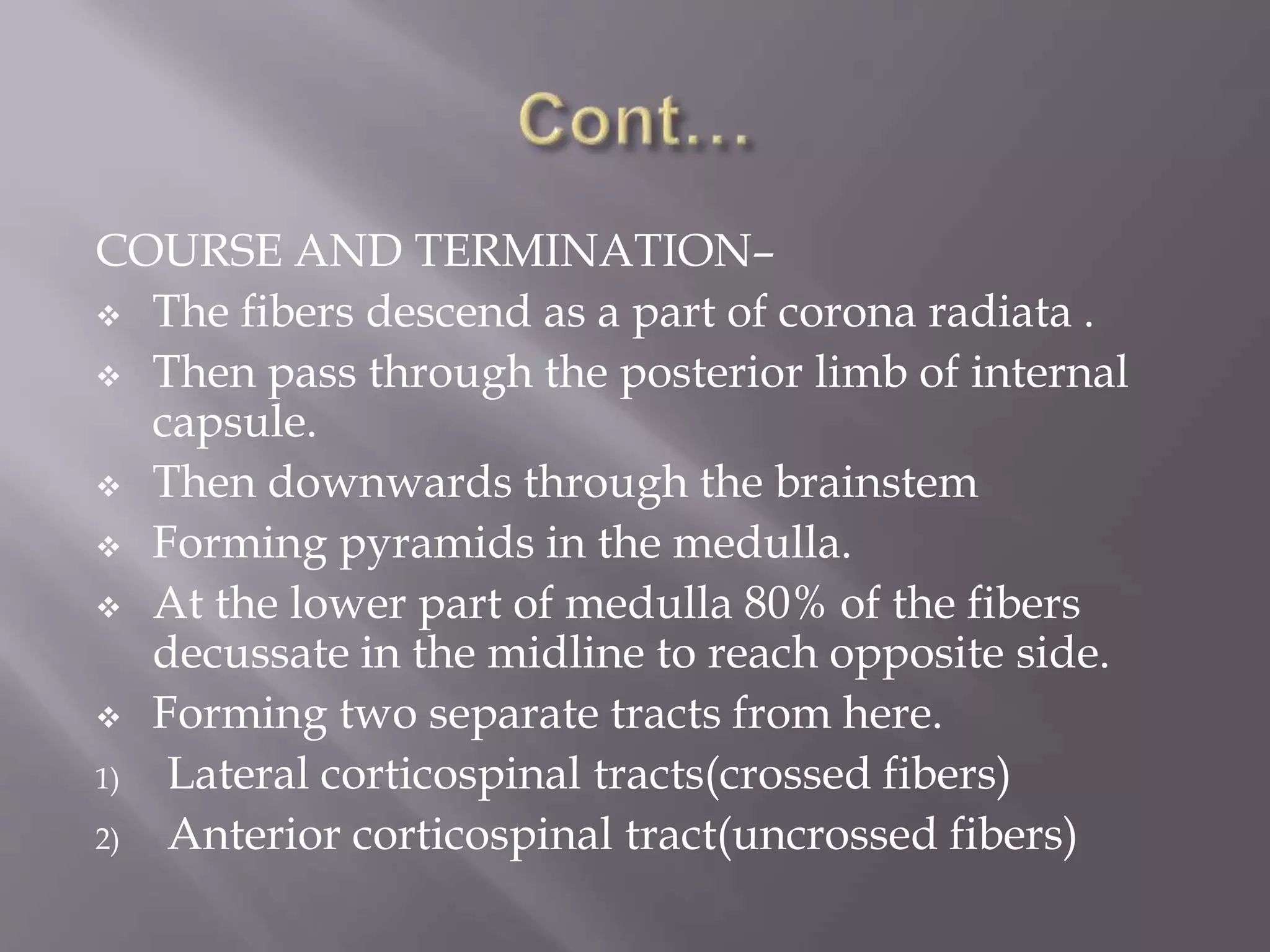 COURSE AND TERMINATION–
 The fibers descend as a part of corona radiata .
 Then pass through the posterior limb of internal
capsule.
 Then downwards through the brainstem
 Forming pyramids in the medulla.
 At the lower part of medulla 80% of the fibers
decussate in the midline to reach opposite side.
 Forming two separate tracts from here.
1) Lateral corticospinal tracts(crossed fibers)
2) Anterior corticospinal tract(uncrossed fibers)
 