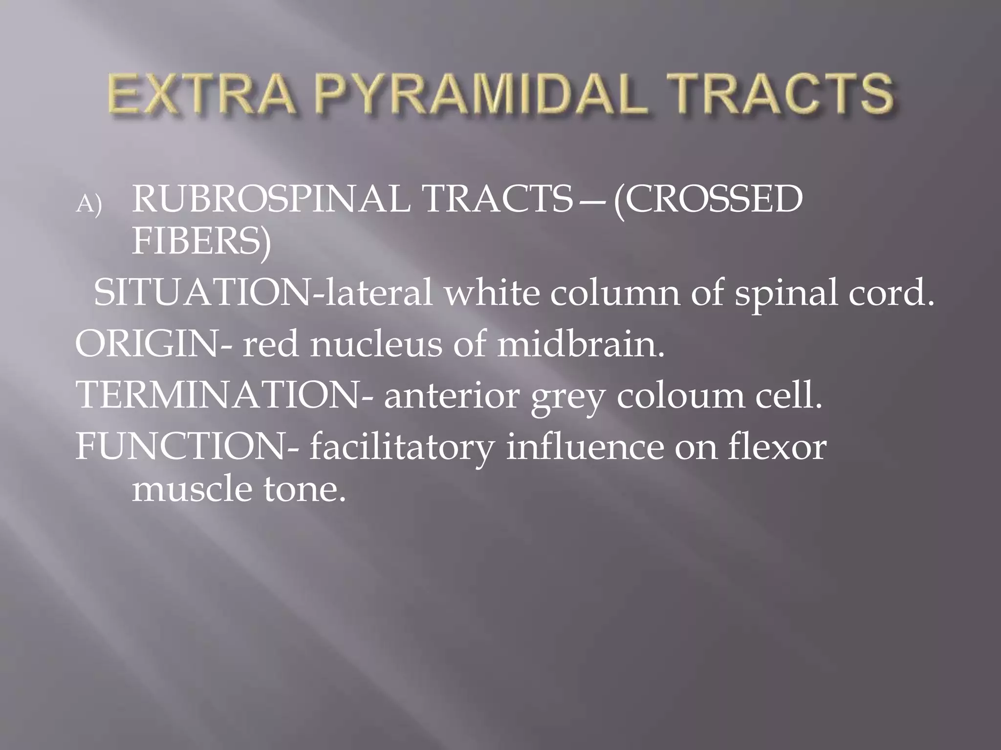 A) RUBROSPINAL TRACTS—(CROSSED
FIBERS)
SITUATION-lateral white column of spinal cord.
ORIGIN- red nucleus of midbrain.
TERMINATION- anterior grey coloum cell.
FUNCTION- facilitatory influence on flexor
muscle tone.
 