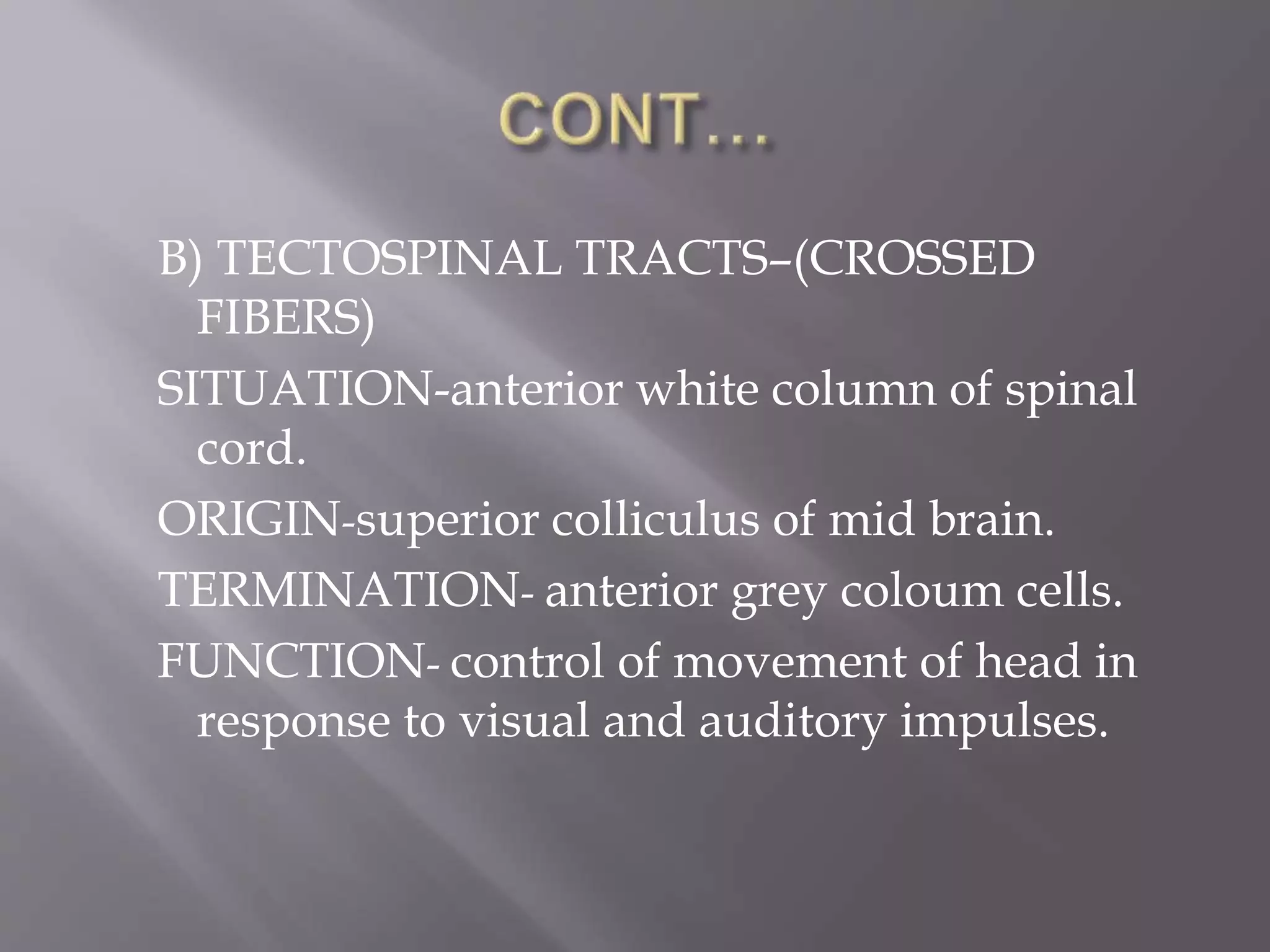 B) TECTOSPINAL TRACTS–(CROSSED
FIBERS)
SITUATION-anterior white column of spinal
cord.
ORIGIN-superior colliculus of mid brain.
TERMINATION- anterior grey coloum cells.
FUNCTION- control of movement of head in
response to visual and auditory impulses.
 