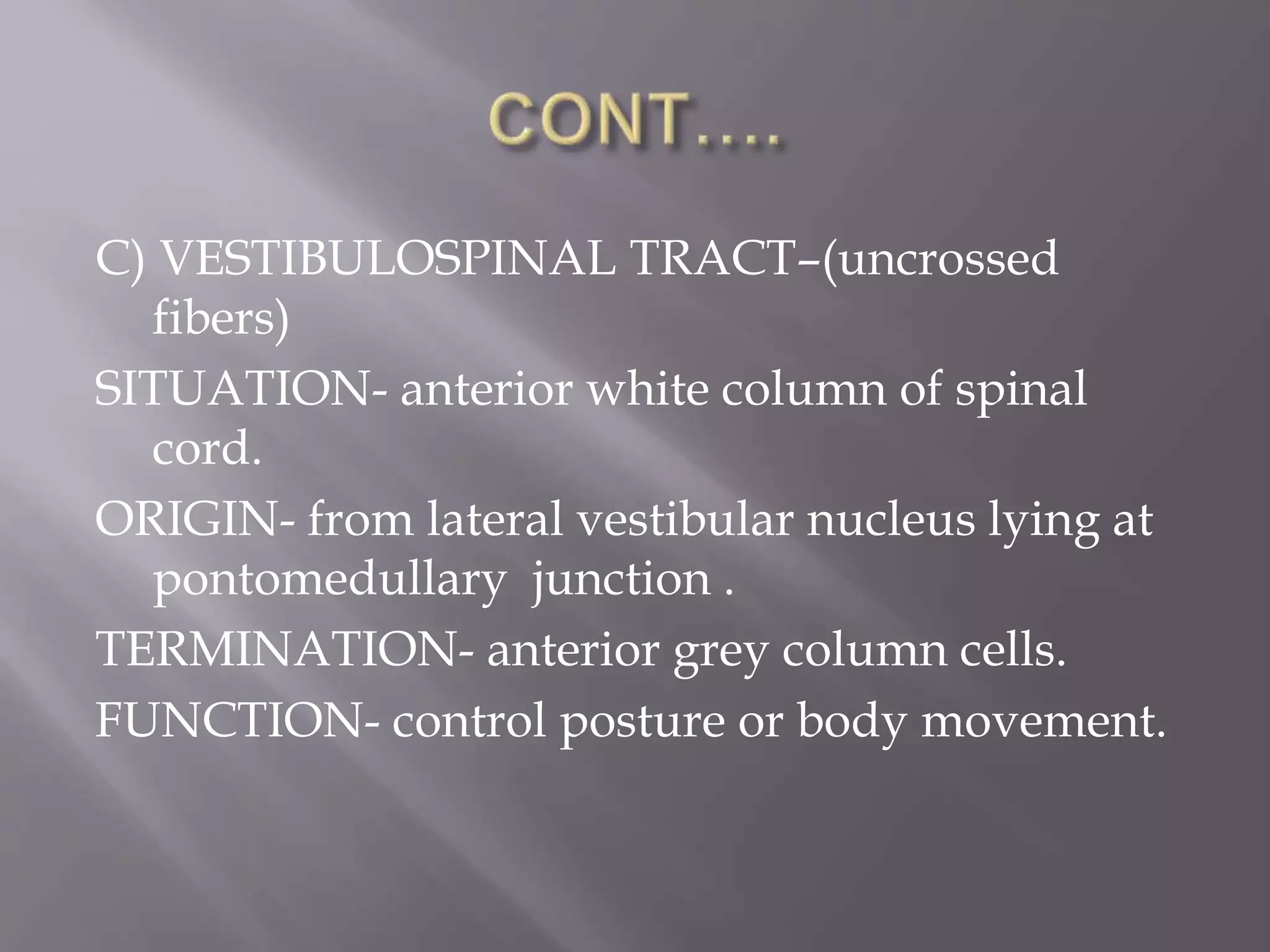 C) VESTIBULOSPINAL TRACT–(uncrossed
fibers)
SITUATION- anterior white column of spinal
cord.
ORIGIN- from lateral vestibular nucleus lying at
pontomedullary junction .
TERMINATION- anterior grey column cells.
FUNCTION- control posture or body movement.
 