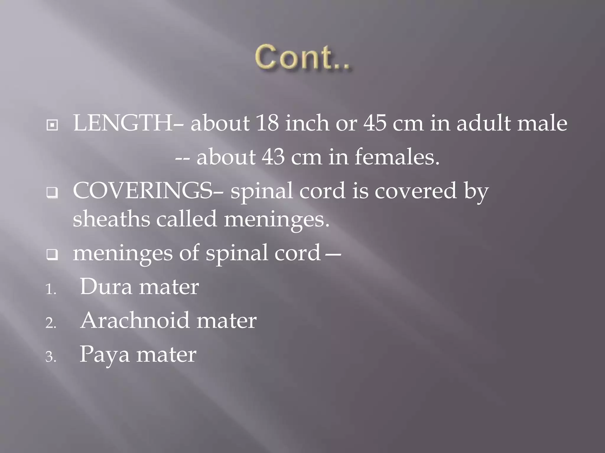  LENGTH– about 18 inch or 45 cm in adult male
-- about 43 cm in females.
 COVERINGS– spinal cord is covered by
sheaths called meninges.
 meninges of spinal cord—
1. Dura mater
2. Arachnoid mater
3. Paya mater
 