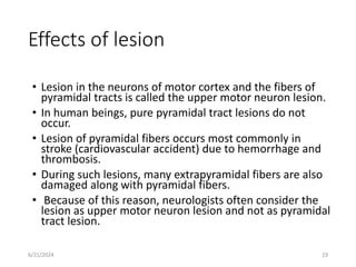 PYRAMIDAL LESIONS by prof charles.pptx
