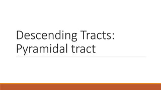 Descending Tracts:
Pyramidal tract
 