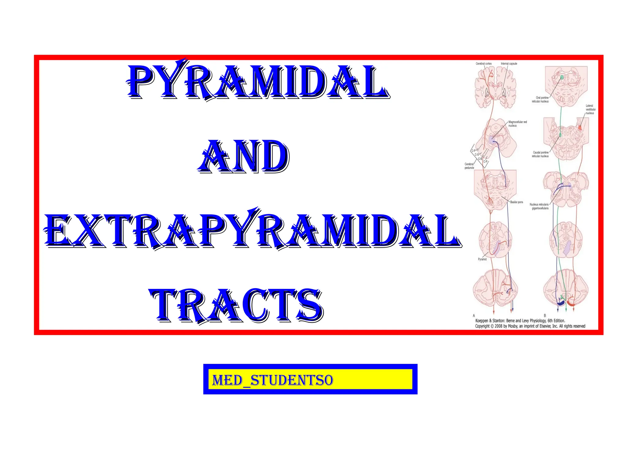pyramidal
pyramidal
And
And
Extrapyramidal
Extrapyramidal
tracts
tracts
Med_students0
 