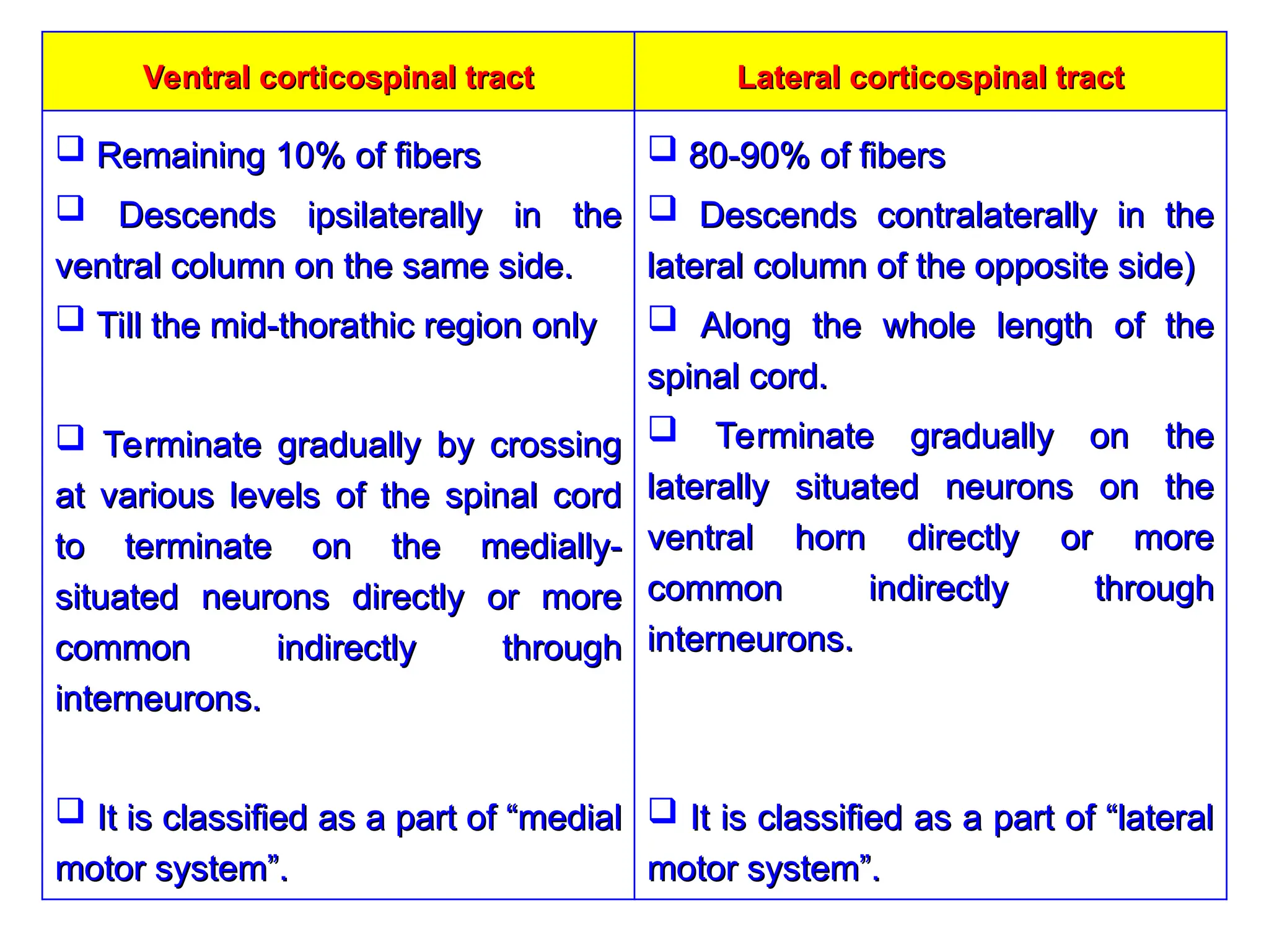 Lateral corticospinal tract
Lateral corticospinal tract
Ventral corticospinal tract
Ventral corticospinal tract
 80-90% of fibers
80-90% of fibers
 Descends contralaterally in the
Descends contralaterally in the
lateral column of the opposite side)
lateral column of the opposite side)
 Along the whole length of the
Along the whole length of the
spinal cord.
spinal cord.
 Terminate gradually on the
Terminate gradually on the
laterally situated neurons on the
laterally situated neurons on the
ventral horn directly or more
ventral horn directly or more
common indirectly through
common indirectly through
interneurons.
interneurons.
 It is classified as a part of “lateral
It is classified as a part of “lateral
motor system”.
motor system”.
 Remaining 10% of fibers
Remaining 10% of fibers
 Descends ipsilaterally in the
Descends ipsilaterally in the
ventral column on the same side.
ventral column on the same side.
 Till the mid-thorathic region only
Till the mid-thorathic region only
 Terminate gradually by crossing
Terminate gradually by crossing
at various levels of the spinal cord
at various levels of the spinal cord
to terminate on the medially-
to terminate on the medially-
situated neurons directly or more
situated neurons directly or more
common indirectly through
common indirectly through
interneurons.
interneurons.
 It is classified as a part of “medial
It is classified as a part of “medial
motor system”.
motor system”.
 