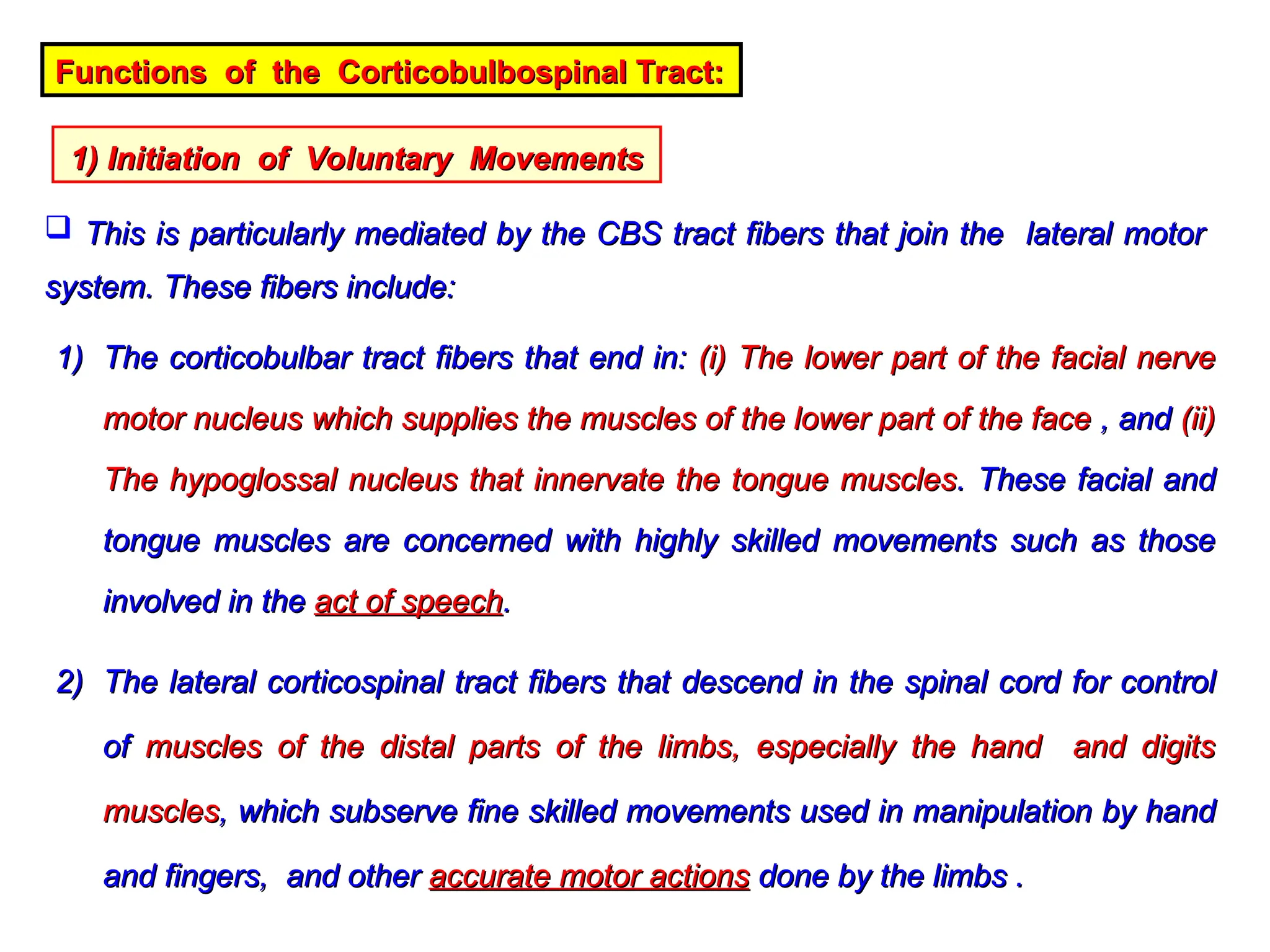 Functions of the Corticobulbospinal Tract:
Functions of the Corticobulbospinal Tract:
1) Initiation of Voluntary Movements
1) Initiation of Voluntary Movements
 This is particularly mediated by the CBS tract fibers that join the lateral motor
This is particularly mediated by the CBS tract fibers that join the lateral motor
system. These fibers include:
system. These fibers include:
1)
1) The corticobulbar tract fibers that end in:
The corticobulbar tract fibers that end in: (i) The lower part of the facial nerve
(i) The lower part of the facial nerve
motor nucleus which supplies the muscles of the lower part of the face
motor nucleus which supplies the muscles of the lower part of the face , and
, and (ii)
(ii)
The hypoglossal nucleus that innervate the tongue muscles
The hypoglossal nucleus that innervate the tongue muscles. These facial and
. These facial and
tongue muscles are concerned with highly skilled movements such as those
tongue muscles are concerned with highly skilled movements such as those
involved in the
involved in the act of speech
act of speech.
.
2)
2) The lateral corticospinal tract fibers that descend in the spinal cord for control
The lateral corticospinal tract fibers that descend in the spinal cord for control
of
of muscles of the distal parts of the limbs, especially the hand and digits
muscles of the distal parts of the limbs, especially the hand and digits
muscles
muscles, which subserve fine skilled movements used in manipulation by hand
, which subserve fine skilled movements used in manipulation by hand
and fingers, and other
and fingers, and other accurate motor actions
accurate motor actions done by the limbs .
done by the limbs .
 
