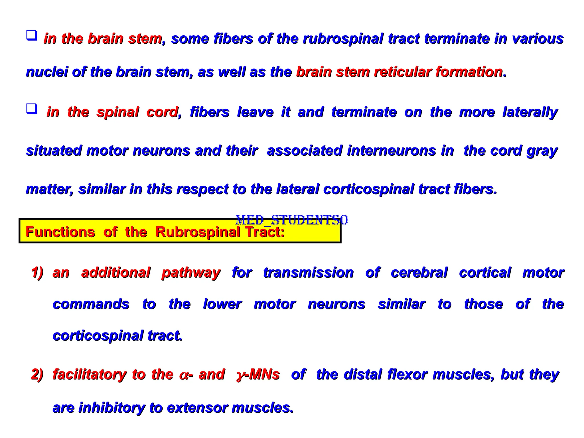  in the brain stem
in the brain stem, some fibers of the rubrospinal tract terminate in various
, some fibers of the rubrospinal tract terminate in various
nuclei of the brain stem, as well as the
nuclei of the brain stem, as well as the brain stem reticular formation
brain stem reticular formation.
.
 in the spinal cord
in the spinal cord, fibers leave it and terminate on the more laterally
, fibers leave it and terminate on the more laterally
situated motor neurons and their associated interneurons in the cord gray
situated motor neurons and their associated interneurons in the cord gray
matter, similar in this respect to the lateral corticospinal tract fibers.
matter, similar in this respect to the lateral corticospinal tract fibers.
Functions of the Rubrospinal Tract:
Functions of the Rubrospinal Tract:
1)
1) an additional pathway
an additional pathway for transmission of cerebral cortical motor
for transmission of cerebral cortical motor
commands to the lower motor neurons similar to those of the
commands to the lower motor neurons similar to those of the
corticospinal tract.
corticospinal tract.
2)
2) facilitatory to the
facilitatory to the 
- and
- and 
-MNs
-MNs of the distal flexor muscles, but they
of the distal flexor muscles, but they
are inhibitory to extensor muscles.
are inhibitory to extensor muscles.
Med_students0
 
